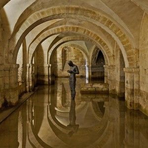 Meet your Posher, Adrienne